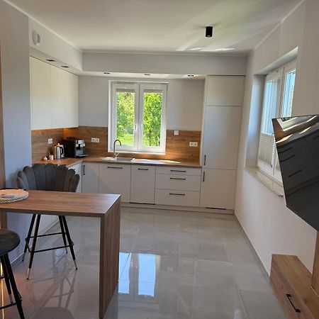 Apartament Nad Barycza ميليتش المظهر الخارجي الصورة